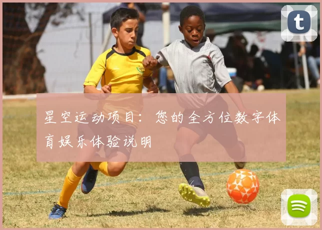 星空运动项目：您的全方位数字体育娱乐体验说明