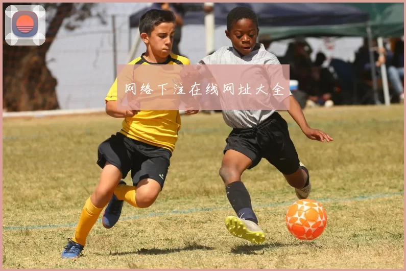 网络下注在线网址大全