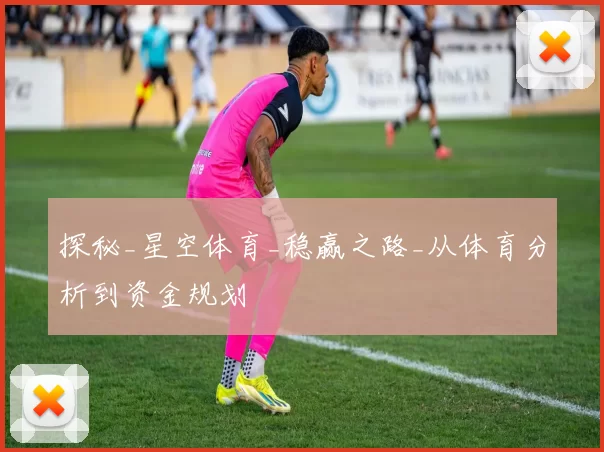 探秘_星空体育_稳赢之路_从体育分析到资金规划
