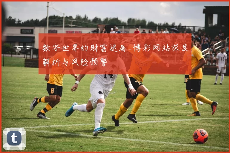 数字世界的财富迷局_博彩网站深度解析与风险预警