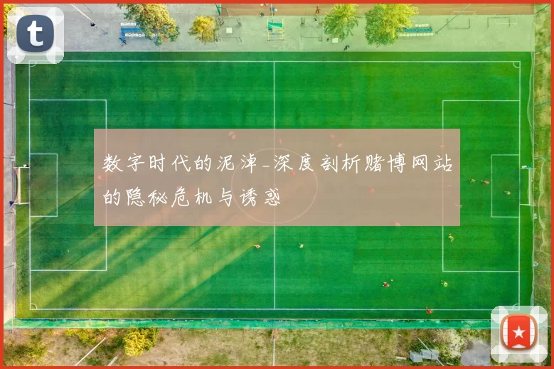 数字时代的泥淖_深度剖析赌博网站的隐秘危机与诱惑