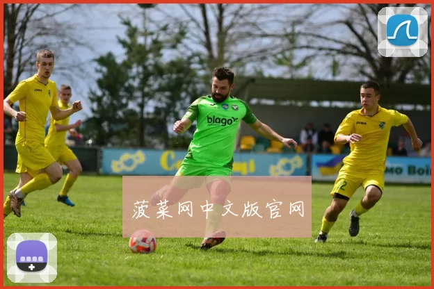 菠菜网中文版官网