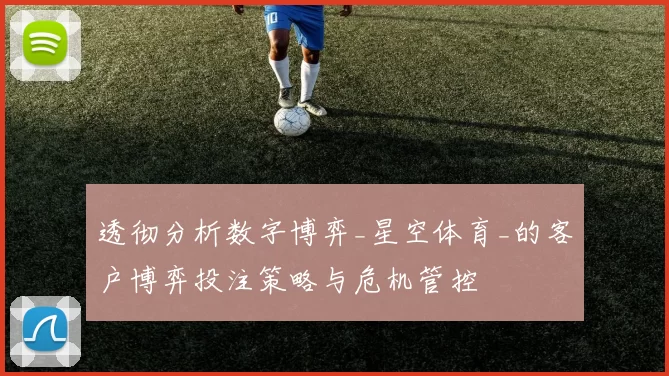 透彻分析数字博弈_星空体育_的客户博弈投注策略与危机管控