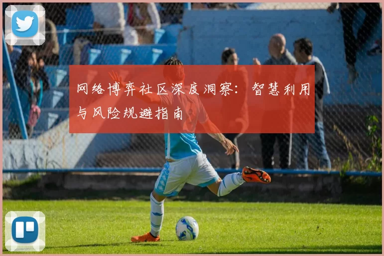 网络博弈社区深度洞察：智慧利用与风险规避指南