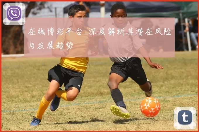 在线博彩平台_深度解析其潜在风险与发展趋势