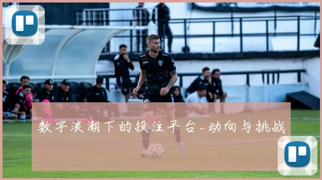 数字浪潮下的投注平台_动向与挑战