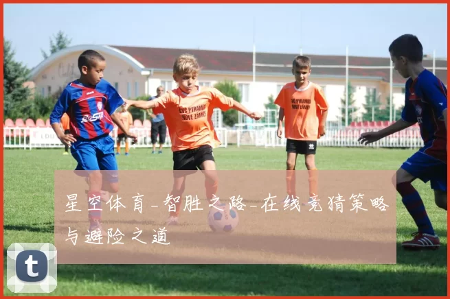 星空体育_智胜之路_在线竞猜策略与避险之道