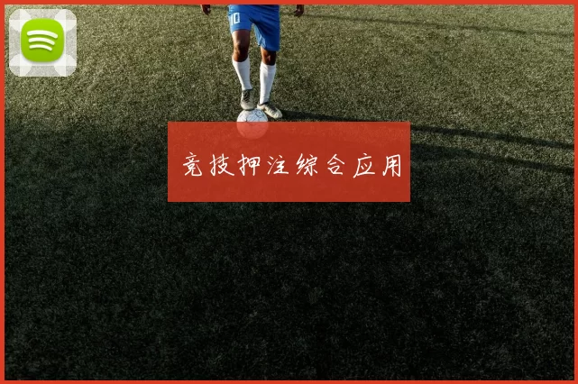 竞技押注综合应用