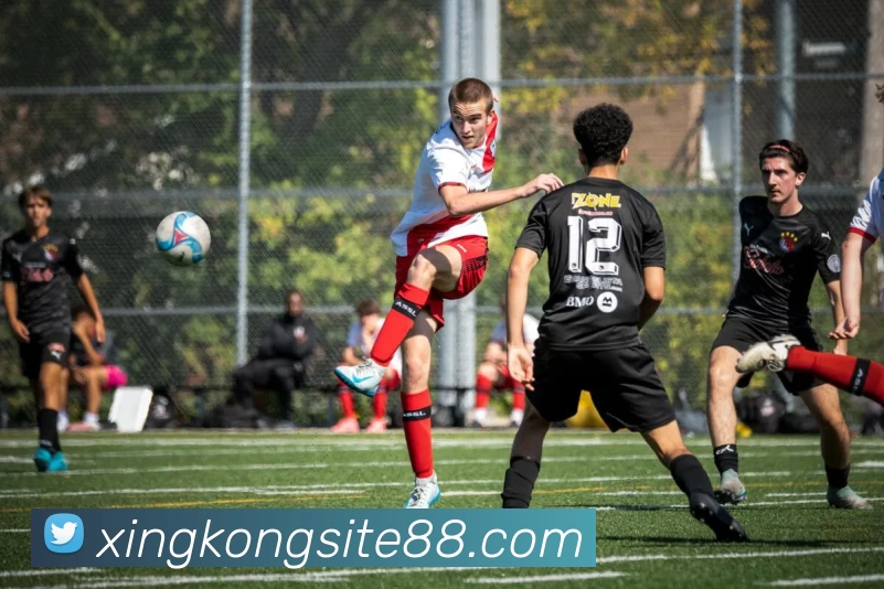 星空体育_智胜之路_在线竞猜策略与避险之道